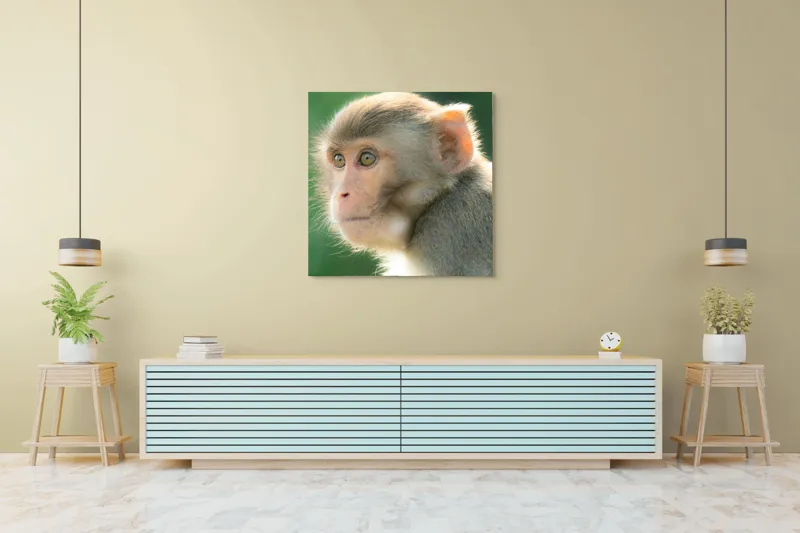 Tablou Canvas, "Privirea contemplativă a unei maimuțe", Ace, Liniste, Blandețe, Contemplare, Naturalete, Curiozitate, Verde, Privire, Blanita, Lumina, 100 x 100 cm – poza 5