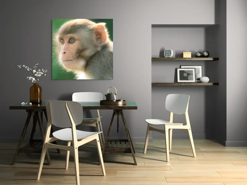 Tablou Canvas, "Privirea contemplativă a unei maimuțe", Ace, Liniste, Blandețe, Contemplare, Naturalete, Curiozitate, Verde, Privire, Blanita, Lumina, 100 x 100 cm – poza 6