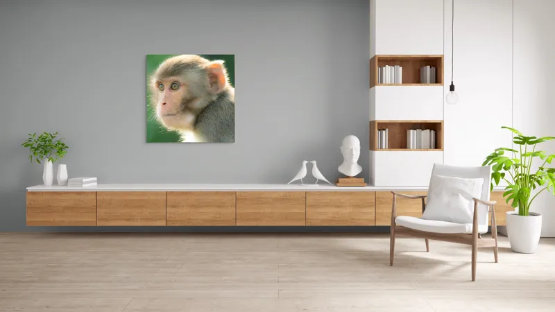 Tablou Canvas, "Privirea contemplativă a unei maimuțe", Ace, Liniste, Blandețe, Contemplare, Naturalete, Curiozitate, Verde, Privire, Blanita, Lumina, 100 x 100 cm – poza 8