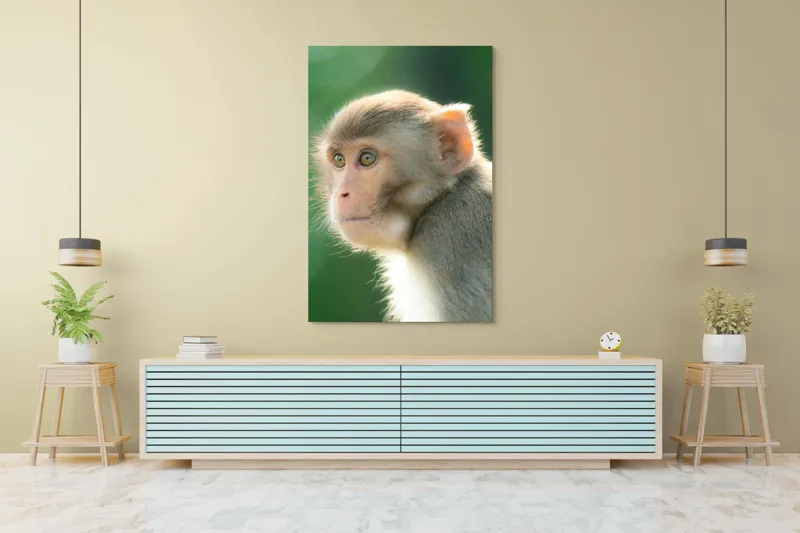 Tablou Canvas, "Privirea contemplativă a unei maimuțe", Ace, Liniste, Blandețe, Contemplare, Naturalete, Curiozitate, Verde, Privire, Blanita, Lumina, 100 x 150 cm – poza 4