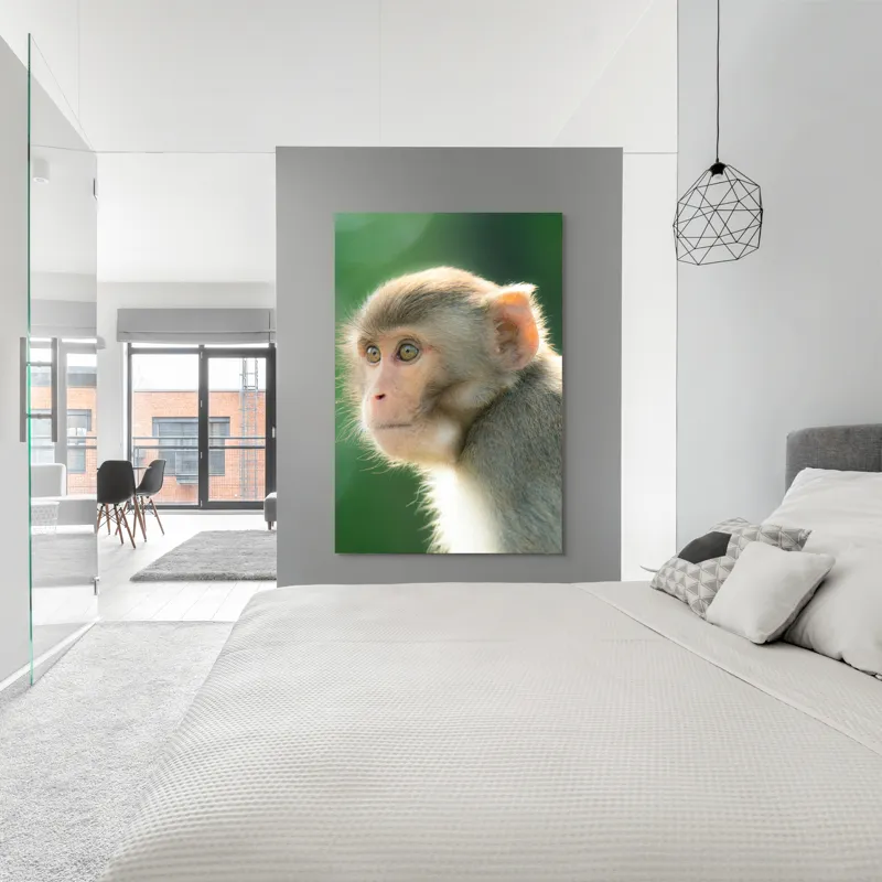 Tablou Canvas, "Privirea contemplativă a unei maimuțe", Ace, Liniste, Blandețe, Contemplare, Naturalete, Curiozitate, Verde, Privire, Blanita, Lumina, 100 x 150 cm – poza 5