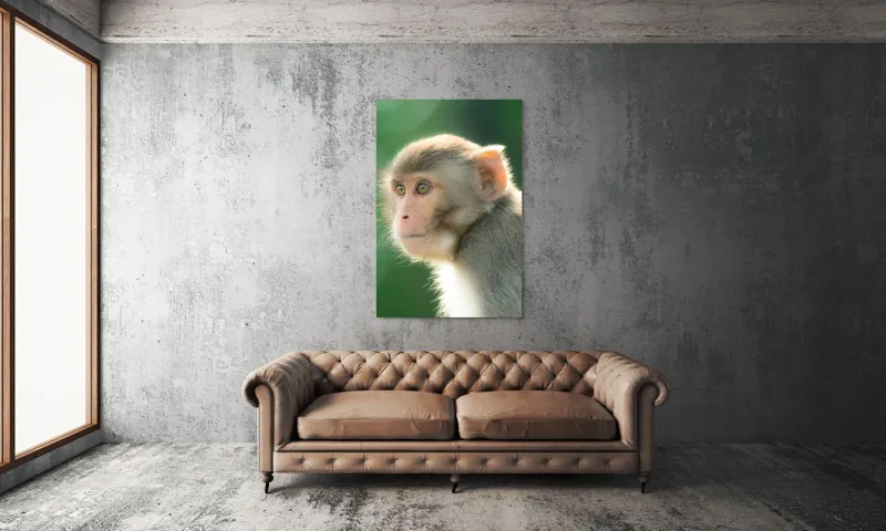 Tablou Canvas, "Privirea contemplativă a unei maimuțe", Ace, Liniste, Blandețe, Contemplare, Naturalete, Curiozitate, Verde, Privire, Blanita, Lumina, 100 x 150 cm – poza 6