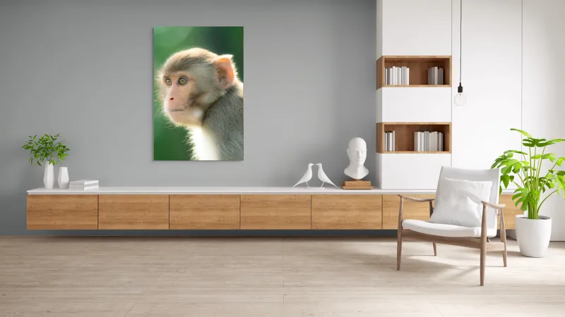 Tablou Canvas, "Privirea contemplativă a unei maimuțe", Ace, Liniste, Blandețe, Contemplare, Naturalete, Curiozitate, Verde, Privire, Blanita, Lumina, 100 x 150 cm – poza 8