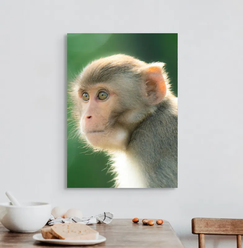 Tablou Canvas, "Privirea contemplativă a unei maimuțe", Ace, Liniste, Blandețe, Contemplare, Naturalete, Curiozitate, Verde, Privire, Blanita, Lumina, 50 x 70 cm – poza 3