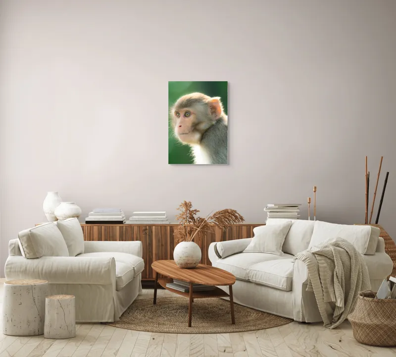 Tablou Canvas, "Privirea contemplativă a unei maimuțe", Ace, Liniste, Blandețe, Contemplare, Naturalete, Curiozitate, Verde, Privire, Blanita, Lumina, 50 x 70 cm – poza 4