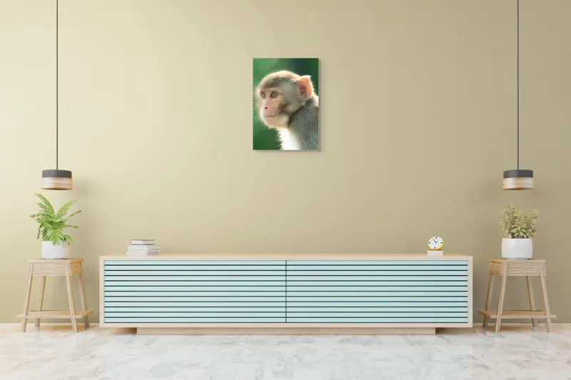 Tablou Canvas, "Privirea contemplativă a unei maimuțe", Ace, Liniste, Blandețe, Contemplare, Naturalete, Curiozitate, Verde, Privire, Blanita, Lumina, 50 x 70 cm – poza 6