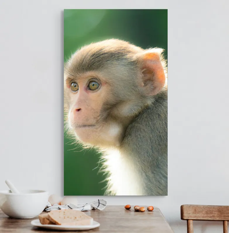 Tablou Canvas, "Privirea contemplativă a unei maimuțe", Ace, Liniste, Blandețe, Contemplare, Naturalete, Curiozitate, Verde, Privire, Blanita, Lumina, 50 x 90 cm – poza 3