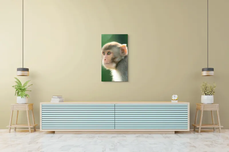 Tablou Canvas, "Privirea contemplativă a unei maimuțe", Ace, Liniste, Blandețe, Contemplare, Naturalete, Curiozitate, Verde, Privire, Blanita, Lumina, 50 x 90 cm – poza 6