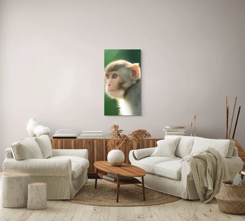 Tablou Canvas, "Privirea contemplativă a unei maimuțe", Ace, Liniste, Blandețe, Contemplare, Naturalete, Curiozitate, Verde, Privire, Blanita, Lumina, 50 x 90 cm – poza 7