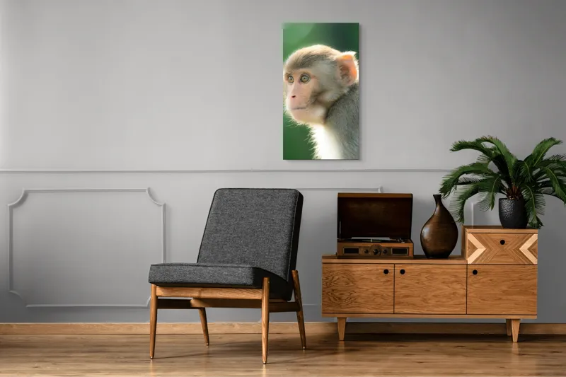 Tablou Canvas, "Privirea contemplativă a unei maimuțe", Ace, Liniste, Blandețe, Contemplare, Naturalete, Curiozitate, Verde, Privire, Blanita, Lumina, 50 x 90 cm – poza 8
