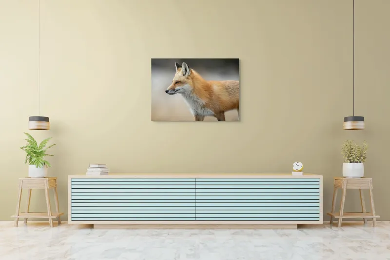 Tablou Canvas, "Vulpe gânditoare în lumina dimineții", Vulpe, Roșcată, Blană, Urechi, Privire, Lateral, Natură, Animale, Sălbatică, Frumusețe, 100 x 70 cm – poza 4