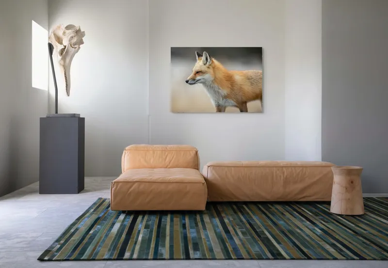 Tablou Canvas, "Vulpe gânditoare în lumina dimineții", Vulpe, Roșcată, Blană, Urechi, Privire, Lateral, Natură, Animale, Sălbatică, Frumusețe, 100 x 70 cm – poza 7