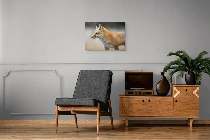 Tablou Canvas, "Vulpe gânditoare în lumina dimineții", Vulpe, Roșcată, Blană, Urechi, Privire, Lateral, Natură, Animale, Sălbatică, Frumusețe, 70 x 50 cm – poza 4