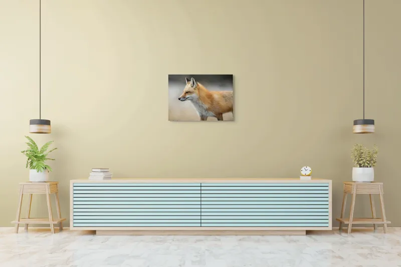 Tablou Canvas, "Vulpe gânditoare în lumina dimineții", Vulpe, Roșcată, Blană, Urechi, Privire, Lateral, Natură, Animale, Sălbatică, Frumusețe, 70 x 50 cm – poza 7