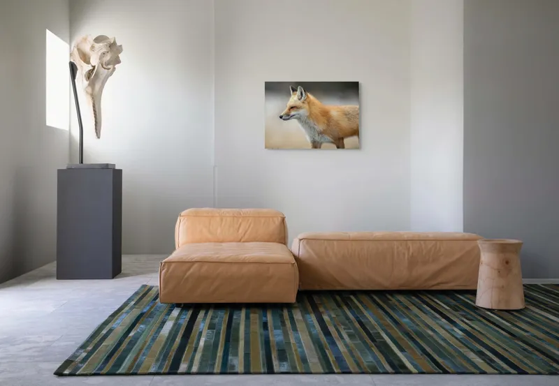 Tablou Canvas, "Vulpe gânditoare în lumina dimineții", Vulpe, Roșcată, Blană, Urechi, Privire, Lateral, Natură, Animale, Sălbatică, Frumusețe, 70 x 50 cm – poza 8