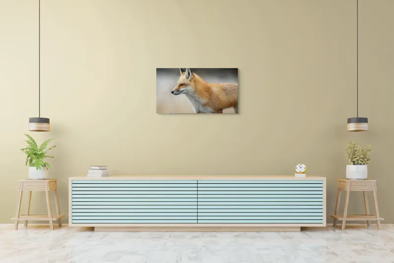 Tablou Canvas, "Vulpe gânditoare în lumina dimineții", Vulpe, Roșcată, Blană, Urechi, Privire, Lateral, Natură, Animale, Sălbatică, Frumusețe, 90 x 50 cm – poza 5