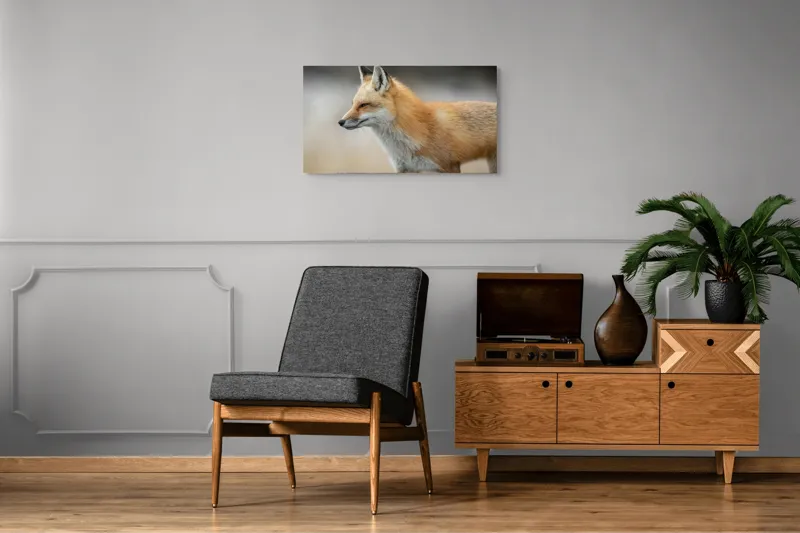 Tablou Canvas, "Vulpe gânditoare în lumina dimineții", Vulpe, Roșcată, Blană, Urechi, Privire, Lateral, Natură, Animale, Sălbatică, Frumusețe, 90 x 50 cm – poza 6