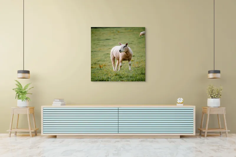 Tablou Canvas, "Oaia rătăcind pe pajiștea verde", Oaie, Câmp, Verdeață, Liniște, Natură, Pășune, 100 x 100 cm – poza 5
