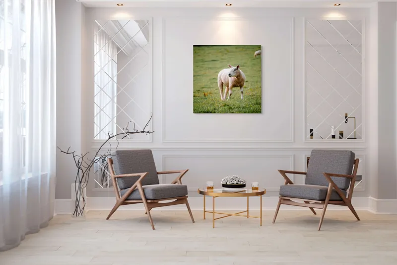 Tablou Canvas, "Oaia rătăcind pe pajiștea verde", Oaie, Câmp, Verdeață, Liniște, Natură, Pășune, 100 x 100 cm – poza 7