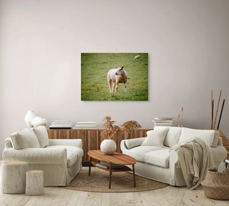 Tablou Canvas, "Oaia rătăcind pe pajiștea verde", Oaie, Câmp, Verdeață, Liniște, Natură, Pășune, 100 x 70 cm – poza 3