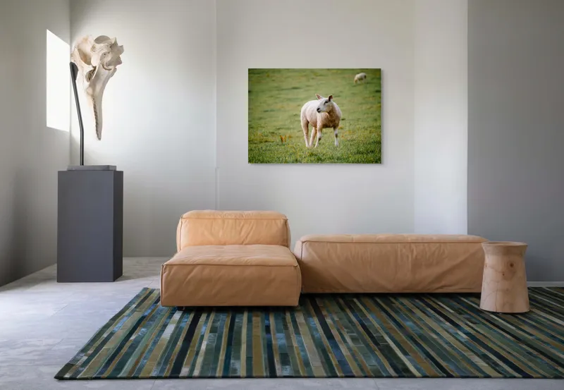 Tablou Canvas, "Oaia rătăcind pe pajiștea verde", Oaie, Câmp, Verdeață, Liniște, Natură, Pășune, 100 x 70 cm – poza 7