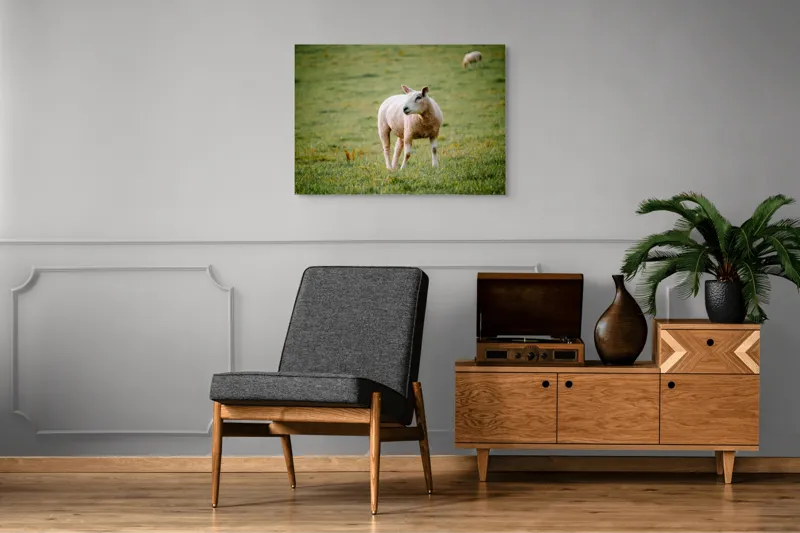 Tablou Canvas, "Oaia rătăcind pe pajiștea verde", Oaie, Câmp, Verdeață, Liniște, Natură, Pășune, 100 x 70 cm – poza 8