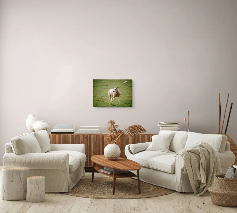 Tablou Canvas, "Oaia rătăcind pe pajiștea verde", Oaie, Câmp, Verdeață, Liniște, Natură, Pășune, 54 x 39 cm – poza 5