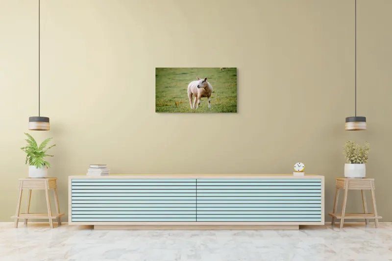 Tablou Canvas, "Oaia rătăcind pe pajiștea verde", Oaie, Câmp, Verdeață, Liniște, Natură, Pășune, 90 x 50 cm – poza 5