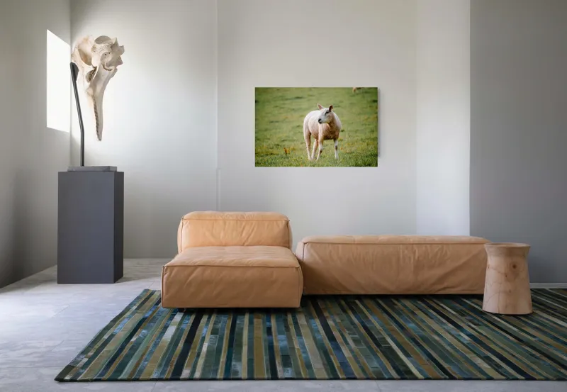 Tablou Canvas, "Oaia rătăcind pe pajiștea verde", Oaie, Câmp, Verdeață, Liniște, Natură, Pășune, 90 x 50 cm – poza 8
