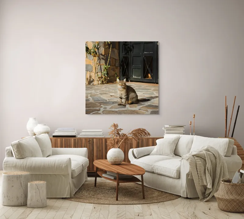 Tablou Canvas, "Pisica torcând la soare matinal", Pisică, Soare, Umbre, Pavaj, Ușă, Zid, Ferestre, Tufă, Frunze., 100 x 100 cm – poza 3