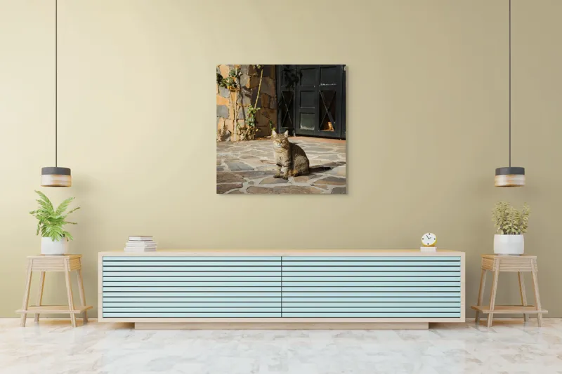 Tablou Canvas, "Pisica torcând la soare matinal", Pisică, Soare, Umbre, Pavaj, Ușă, Zid, Ferestre, Tufă, Frunze., 100 x 100 cm – poza 5
