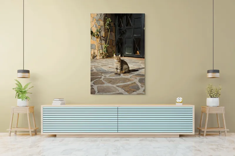 Tablou Canvas, "Pisica torcând la soare matinal", Pisică, Soare, Umbre, Pavaj, Ușă, Zid, Ferestre, Tufă, Frunze., 100 x 150 cm – poza 4