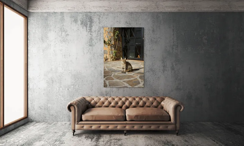 Tablou Canvas, "Pisica torcând la soare matinal", Pisică, Soare, Umbre, Pavaj, Ușă, Zid, Ferestre, Tufă, Frunze., 100 x 150 cm – poza 6