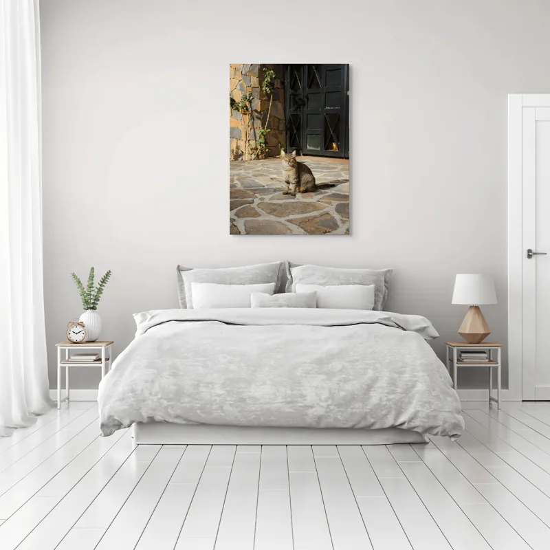 Tablou Canvas, "Pisica torcând la soare matinal", Pisică, Soare, Umbre, Pavaj, Ușă, Zid, Ferestre, Tufă, Frunze., 70 x 100 cm – poza 3