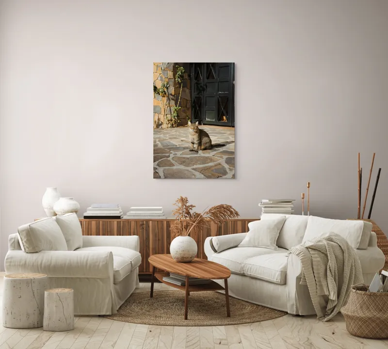 Tablou Canvas, "Pisica torcând la soare matinal", Pisică, Soare, Umbre, Pavaj, Ușă, Zid, Ferestre, Tufă, Frunze., 70 x 100 cm – poza 4