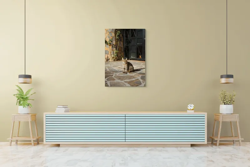 Tablou Canvas, "Pisica torcând la soare matinal", Pisică, Soare, Umbre, Pavaj, Ușă, Zid, Ferestre, Tufă, Frunze., 70 x 100 cm – poza 5