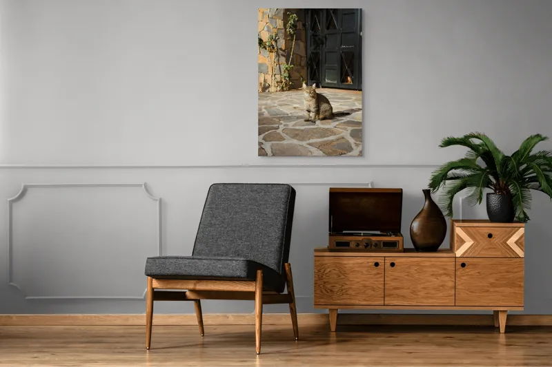 Tablou Canvas, "Pisica torcând la soare matinal", Pisică, Soare, Umbre, Pavaj, Ușă, Zid, Ferestre, Tufă, Frunze., 70 x 100 cm – poza 6