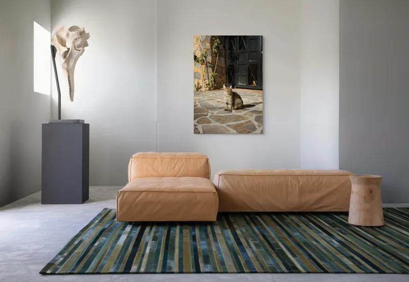 Tablou Canvas, "Pisica torcând la soare matinal", Pisică, Soare, Umbre, Pavaj, Ușă, Zid, Ferestre, Tufă, Frunze., 70 x 100 cm – poza 7