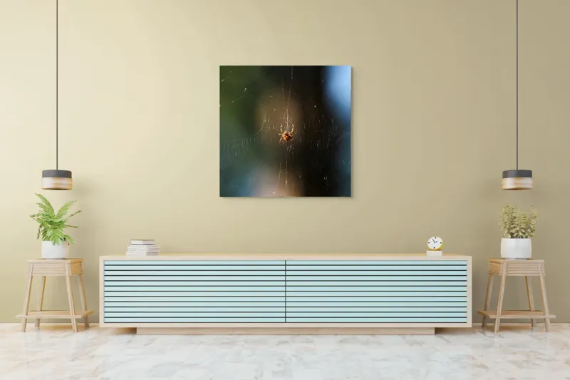 Tablou Canvas, "Păianjenul în mrejele dimineții", Pânză, Păianjen, Natură, Lumină, Detalii, Artă, Simetrie, Fragilitate, 100 x 100 cm – poza 5