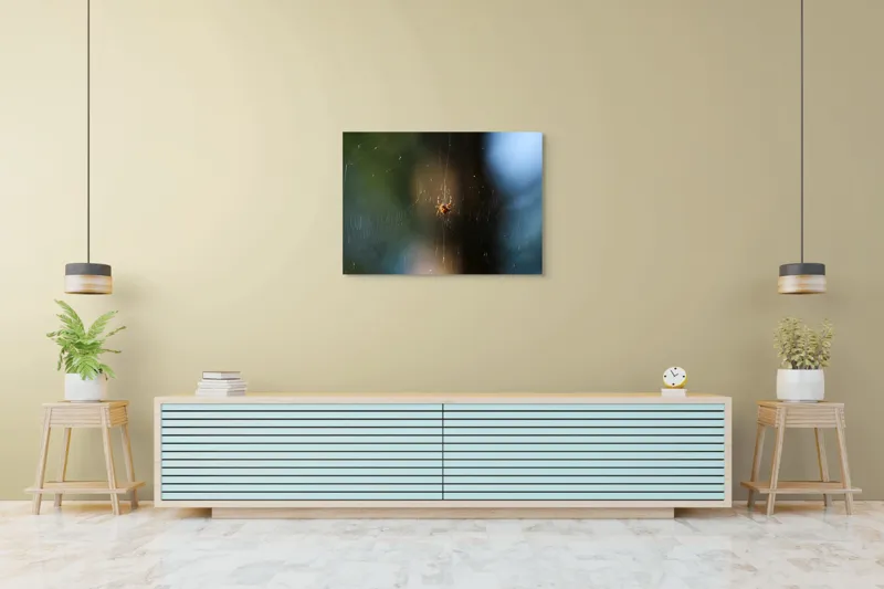Tablou Canvas, "Păianjenul în mrejele dimineții", Pânză, Păianjen, Natură, Lumină, Detalii, Artă, Simetrie, Fragilitate, 100 x 70 cm – poza 4