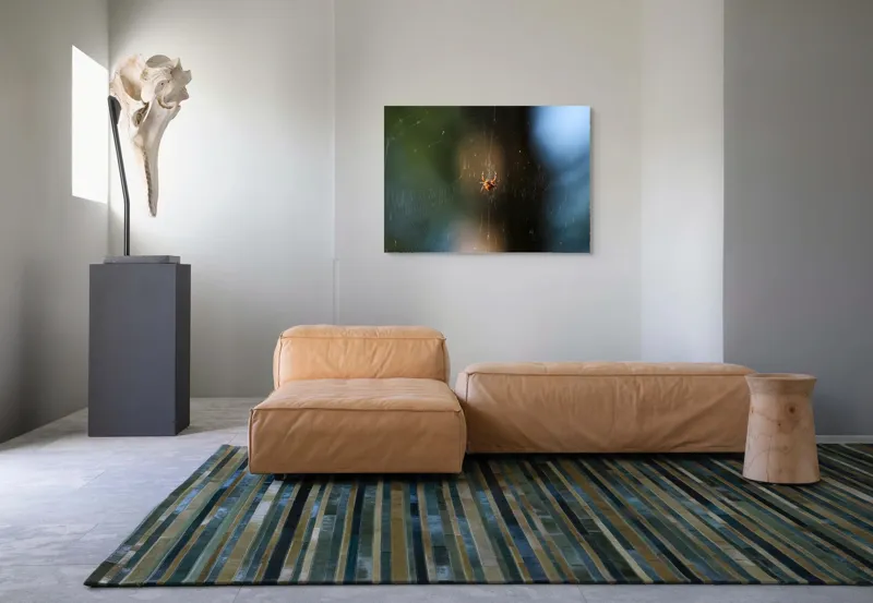 Tablou Canvas, "Păianjenul în mrejele dimineții", Pânză, Păianjen, Natură, Lumină, Detalii, Artă, Simetrie, Fragilitate, 100 x 70 cm – poza 7
