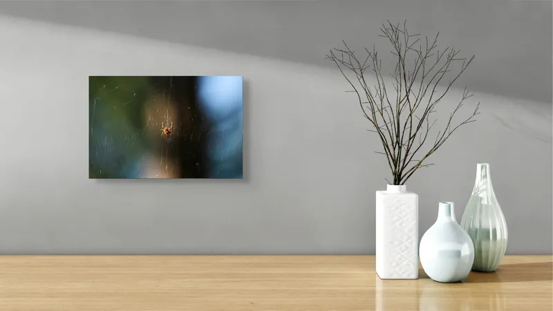 Tablou Canvas, "Păianjenul în mrejele dimineții", Pânză, Păianjen, Natură, Lumină, Detalii, Artă, Simetrie, Fragilitate, 39 x 26 cm – poza 8