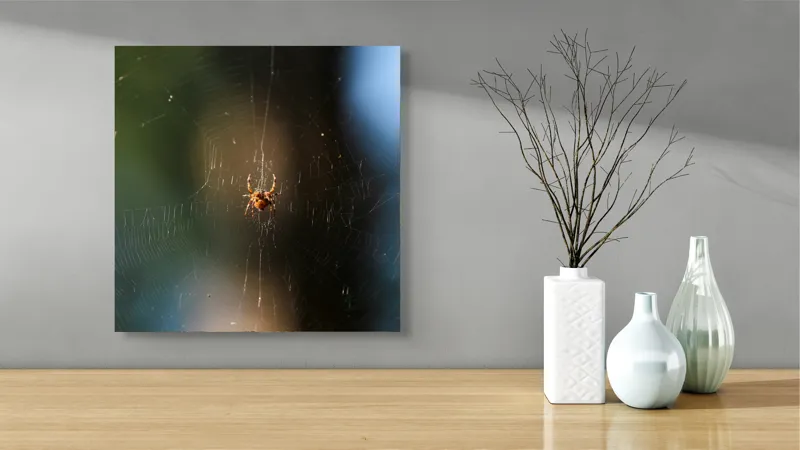 Tablou Canvas, "Păianjenul în mrejele dimineții", Pânză, Păianjen, Natură, Lumină, Detalii, Artă, Simetrie, Fragilitate, 50 x 50 cm – poza 3
