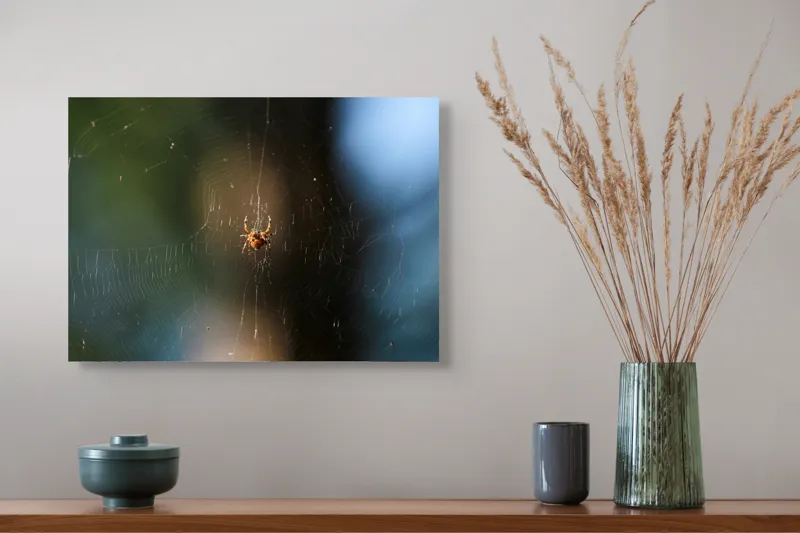 Tablou Canvas, "Păianjenul în mrejele dimineții", Pânză, Păianjen, Natură, Lumină, Detalii, Artă, Simetrie, Fragilitate, 54 x 39 cm – poza 4