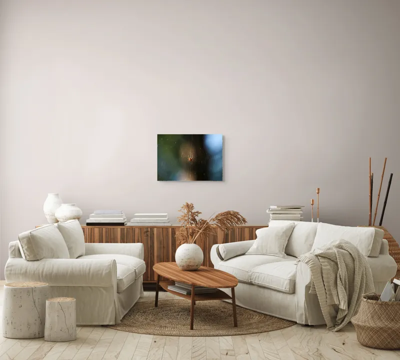Tablou Canvas, "Păianjenul în mrejele dimineții", Pânză, Păianjen, Natură, Lumină, Detalii, Artă, Simetrie, Fragilitate, 54 x 39 cm – poza 5