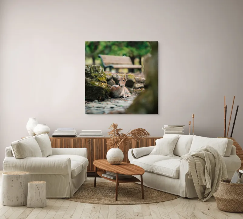 Tablou Canvas, "Caprioara odihnindu-se în pădurea liniștită", Deer, Nature, Resting, Tranquil, Forest, Bench, Mossy, Stones, Serene, 100 x 100 cm – poza 3