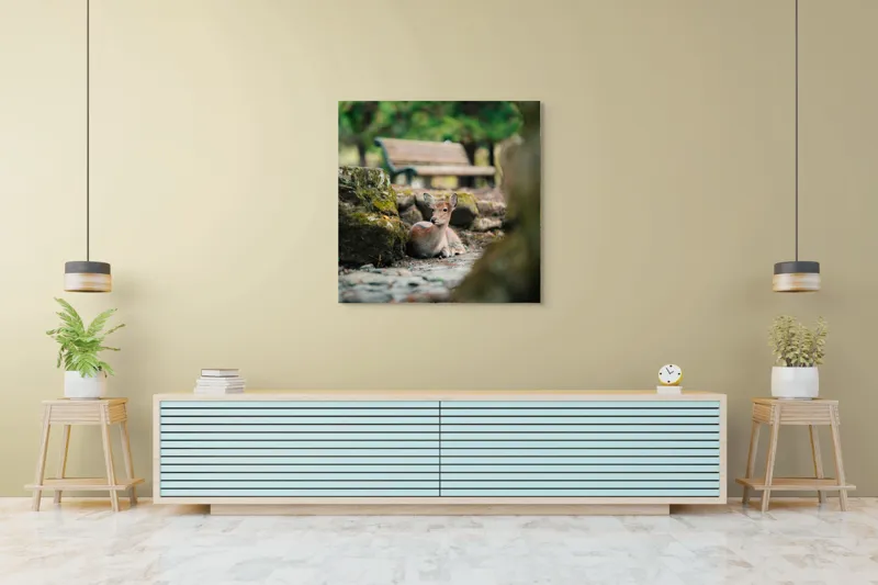 Tablou Canvas, "Caprioara odihnindu-se în pădurea liniștită", Deer, Nature, Resting, Tranquil, Forest, Bench, Mossy, Stones, Serene, 100 x 100 cm – poza 5