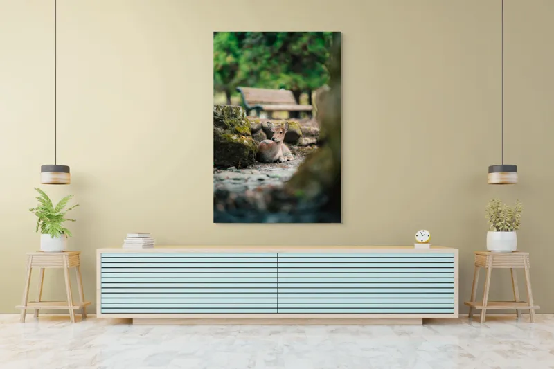 Tablou Canvas, "Caprioara odihnindu-se în pădurea liniștită", Deer, Nature, Resting, Tranquil, Forest, Bench, Mossy, Stones, Serene, 100 x 150 cm – poza 4
