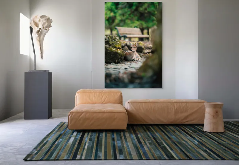 Tablou Canvas, "Caprioara odihnindu-se în pădurea liniștită", Deer, Nature, Resting, Tranquil, Forest, Bench, Mossy, Stones, Serene, 100 x 150 cm – poza 7