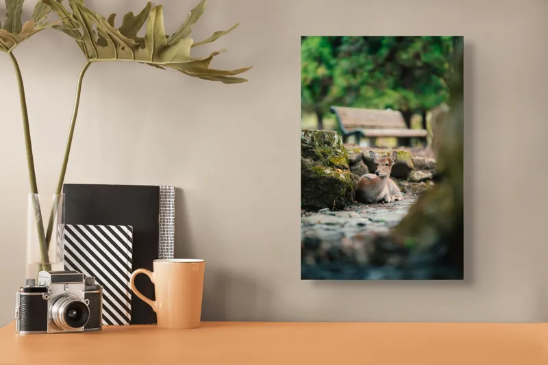 Tablou Canvas, "Caprioara odihnindu-se în pădurea liniștită", Deer, Nature, Resting, Tranquil, Forest, Bench, Mossy, Stones, Serene, 26 x 39 cm – poza 3